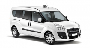 Коврики в салон (2 ряда) Fiat Doblo Maxi II 2015-н.в.