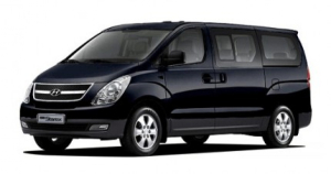 Коврик в багажник Hyundai Grand Starex II 2007-2018 (11 мест/8 мест без последнего ряда)*