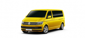 Коврик в багажник Volkswagen Multivan (T5) 2003-2015 (короткая база)*
