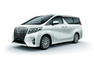 Коврики в салон (2 ряда) Toyota Alphard III 2015-2023 (правый руль) 2 ряд капитан. 7 мест*