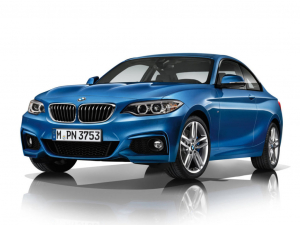 Коврики в салон (2 ряда) BMW 2 серия (F22) 2014-2021 (купе)