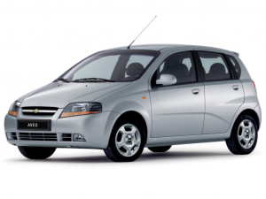 Коврики в салон (2 ряда) Chevrolet Aveo 2003-2012 (хэтчбек)