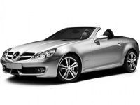 Коврики из экокожи 3D Mercedes SLK-класс R171 2004-2011