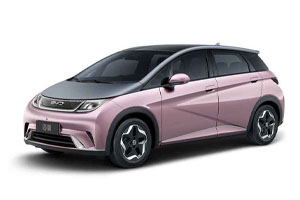 Коврики из экокожи 3D BYD Dolphin 2021-н.в.